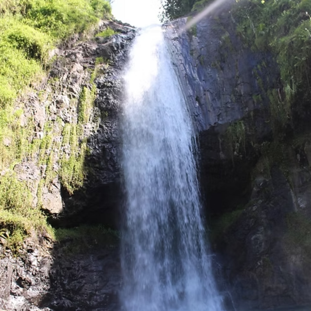 Tour of Papenoo Valley in Tahiti