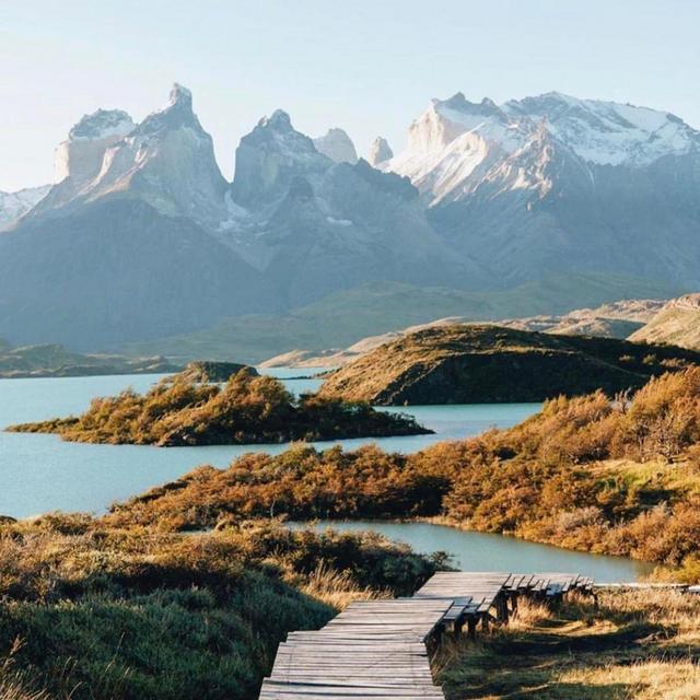 Our Chilean Honeymoon Fund!