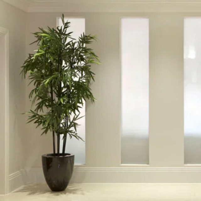Bamboo Tree