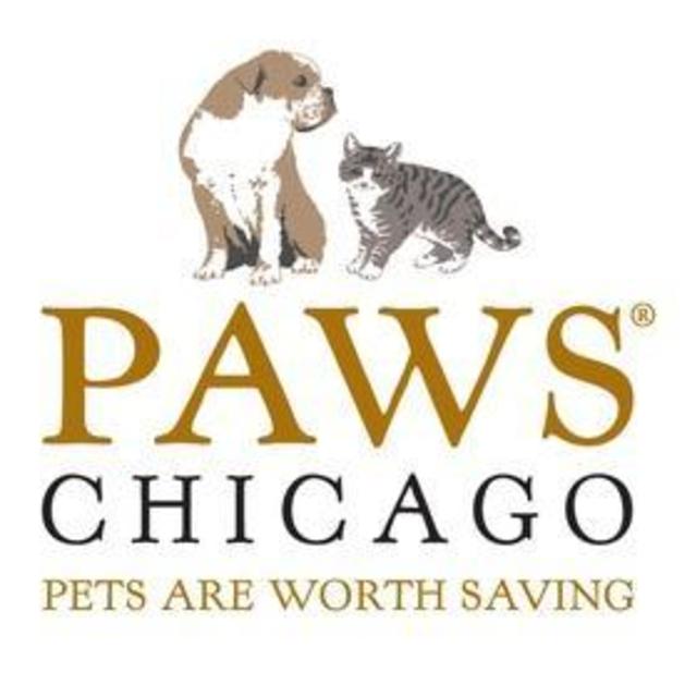 PAWS Chicago - Helping homeless furry friends by building no kill communities
