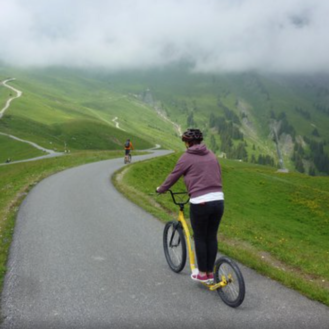 Trottibike Rentals in the Alps