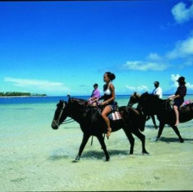 Horseback Riding