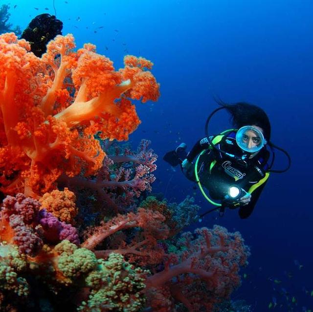 Fiji Scuba Diving Expedition