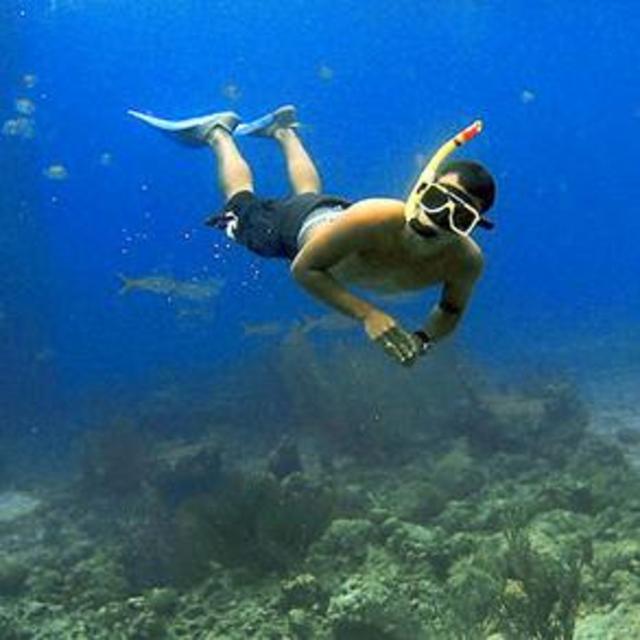 Snorkel Gear