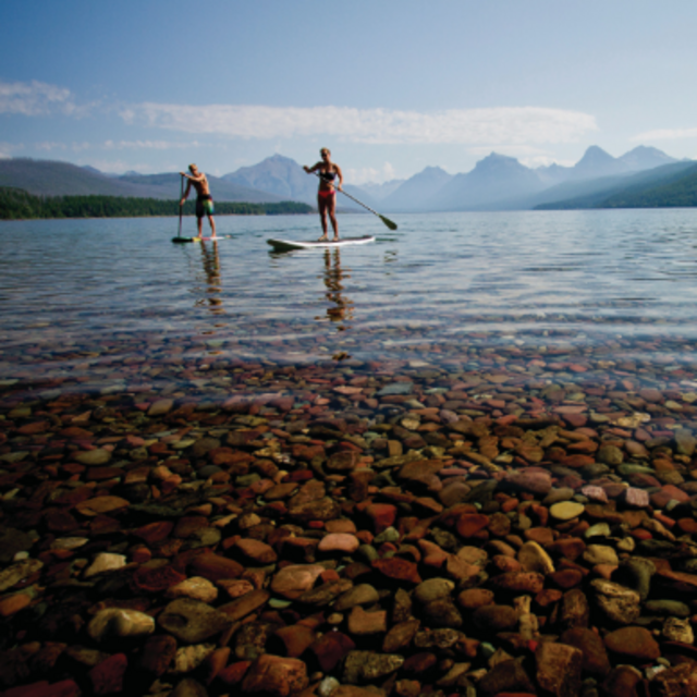 Paddle Board Adventures