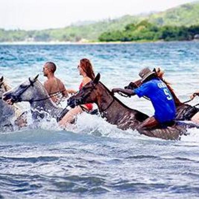 Horseback Ride 'N' Swim Sandy Bay (180 min)