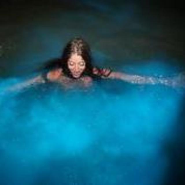 Luminous Lagoon Experience