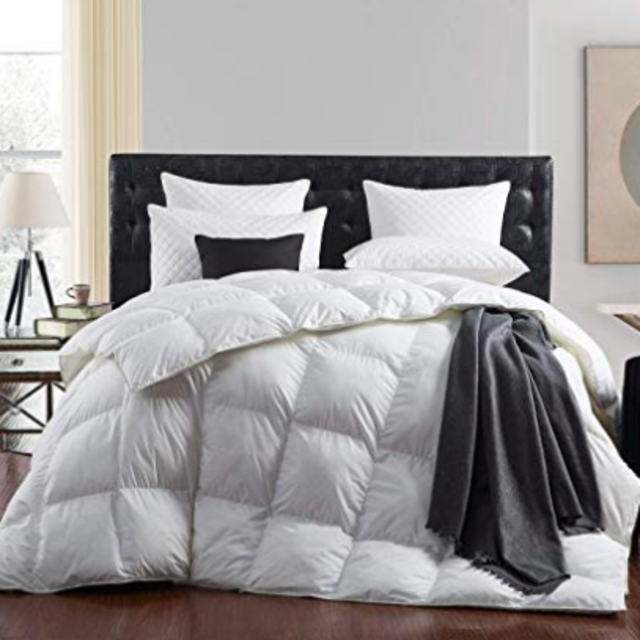 Egyptian Bedding 1200 Thread Goose Down Comforter Duvet Insert