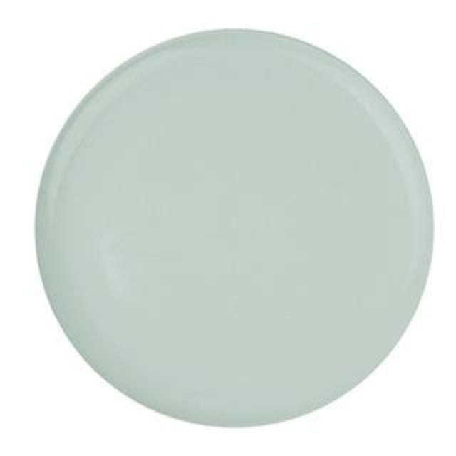 Shell Bisque Dinner Plate Mist