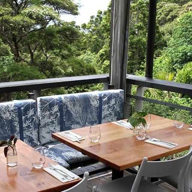 Tree House Dinner for 2 in Auckland