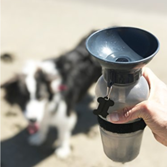 Highwave AutoDogMug