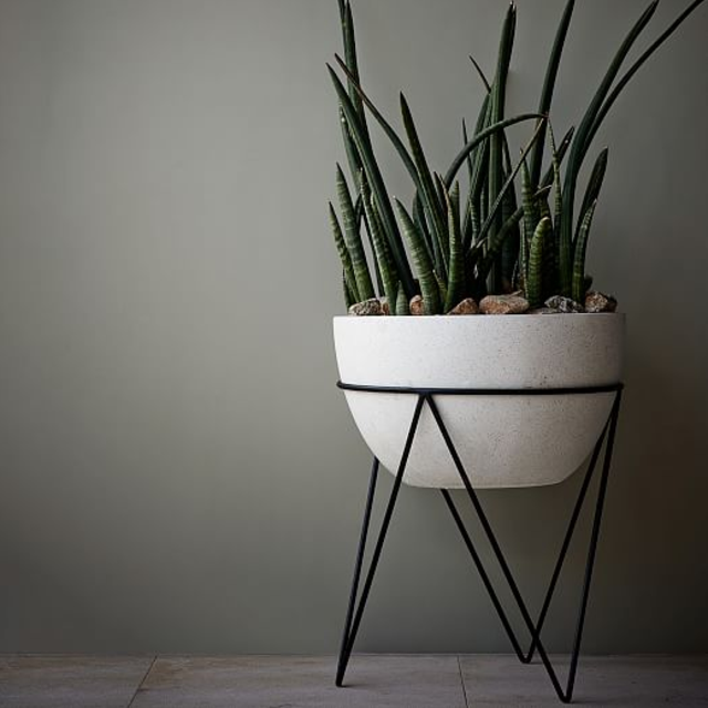 Iris Planter plus Stand (Medium)