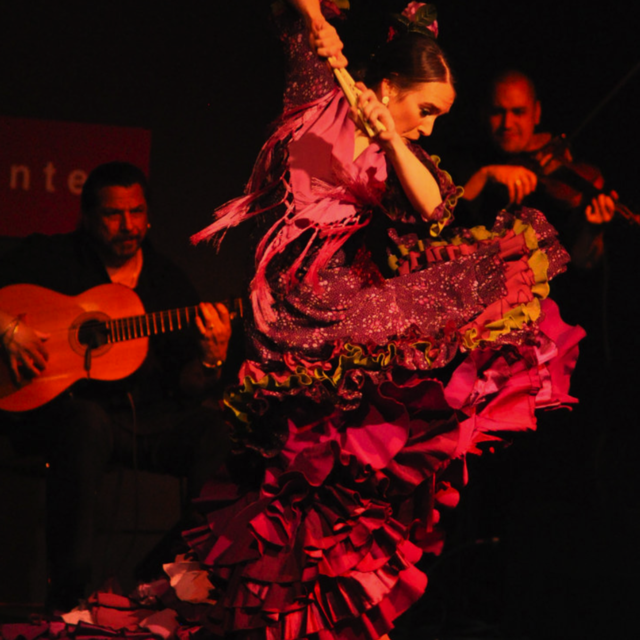 Flamenco Show Tickets