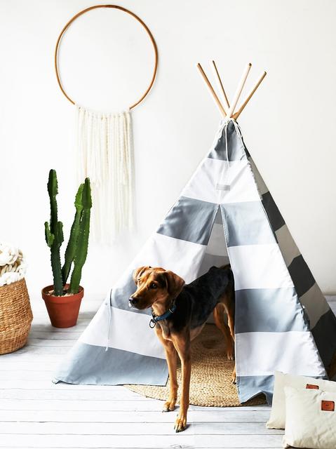 Big Dog Teepee