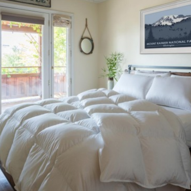 Down Comforter
