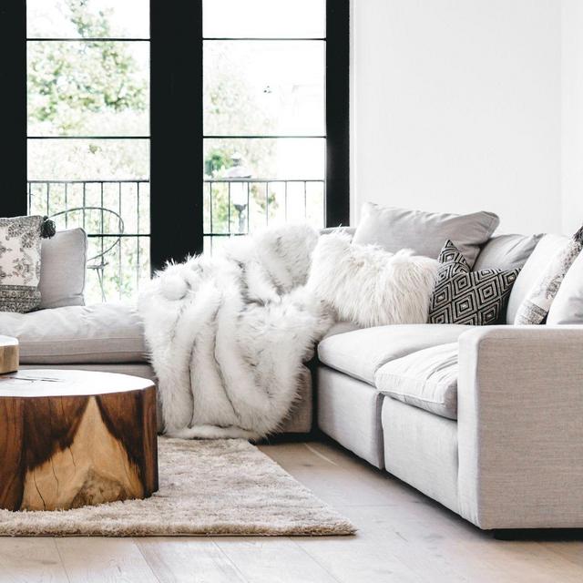 Funds Toward our Future Couch