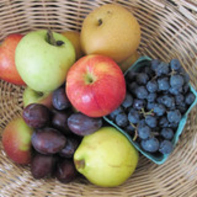 Highland Orchards CSA