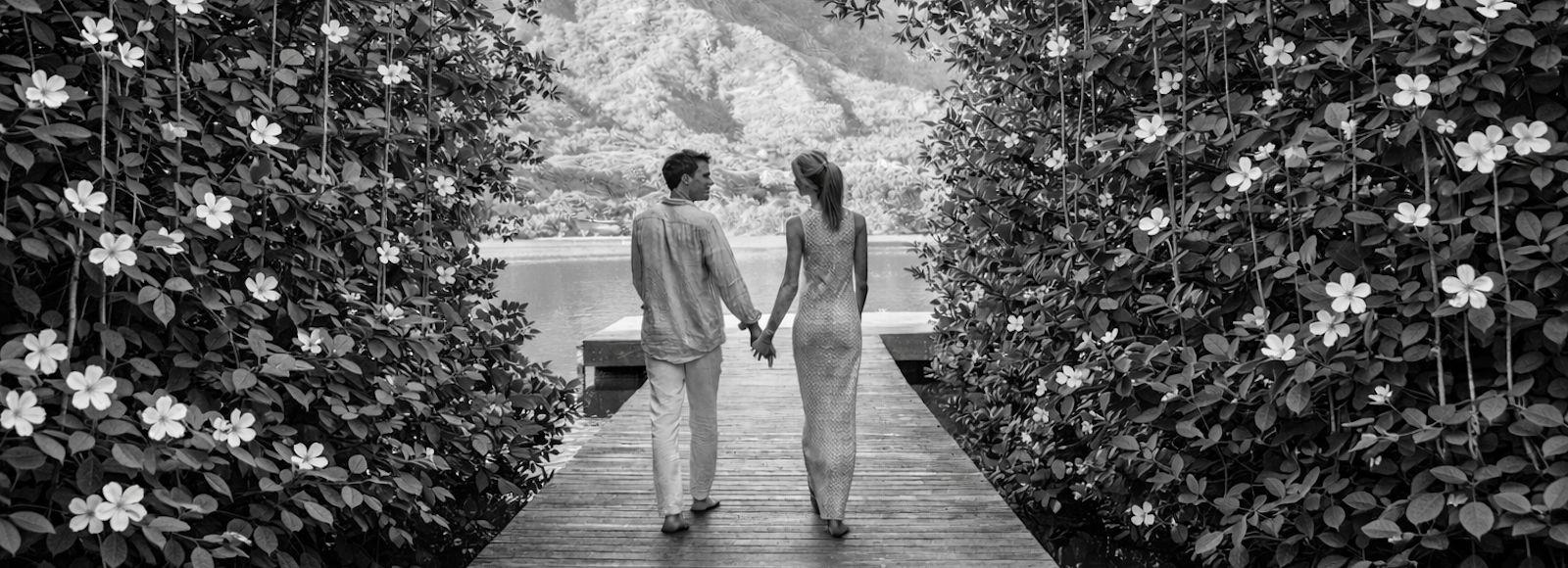 Merrill Hermann and Christopher Baillieu's Wedding Registry on Zola