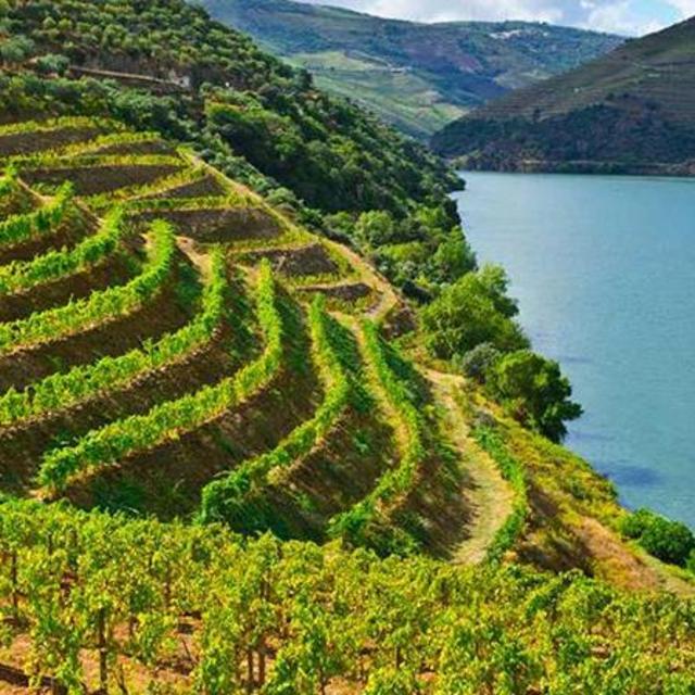Peljesac Wine Tour - Pushed to 2021