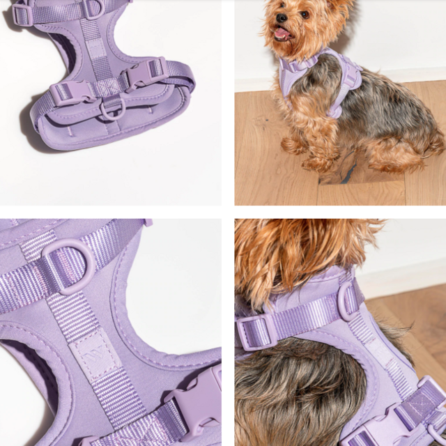 Dog Harness - Size Small in Lilac