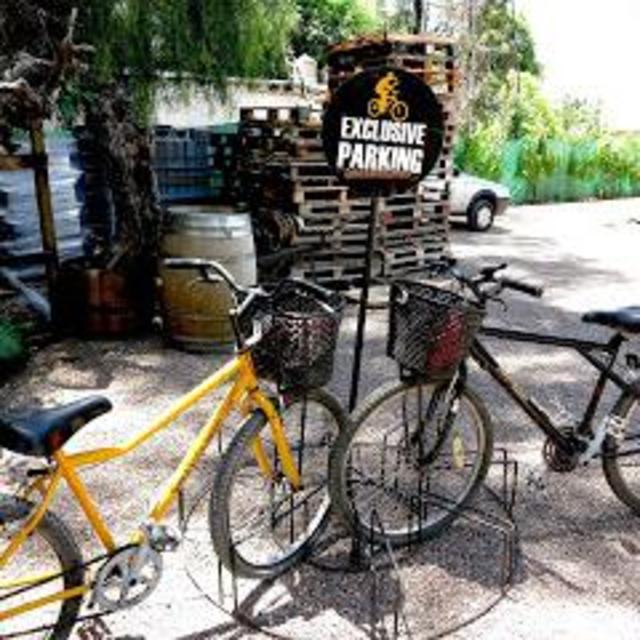 Bike Rental in Mendoza (bike and transfers)