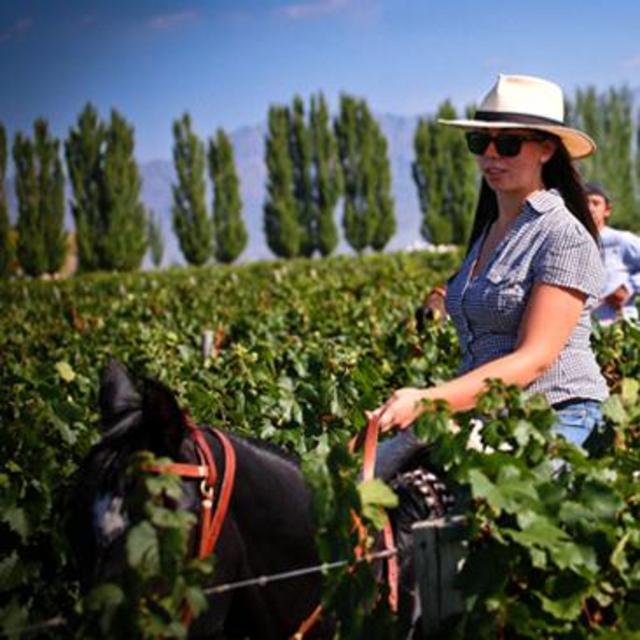 A horse-back ride through the vineyards of Lujan de Cuyo