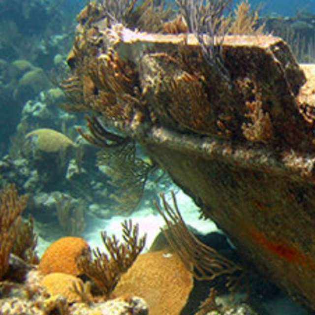 Shore Excursion: Bermuda Triangle Shipwreck Snorkel - Hamilton, Bermuda