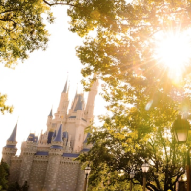 Key's to the (Magic) Kingdom Tour