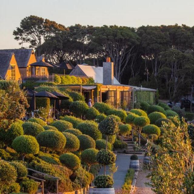 Waiheke Wine Tour