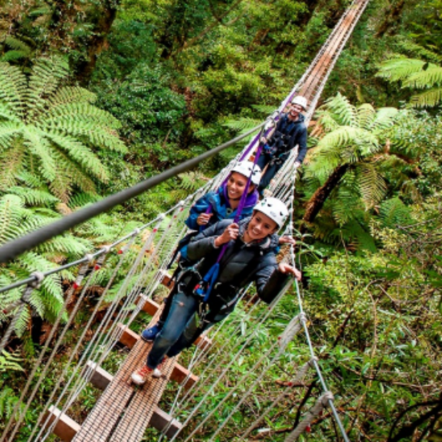 Rotorua Canopy Tour