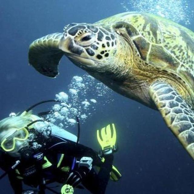 Scuba Lessons