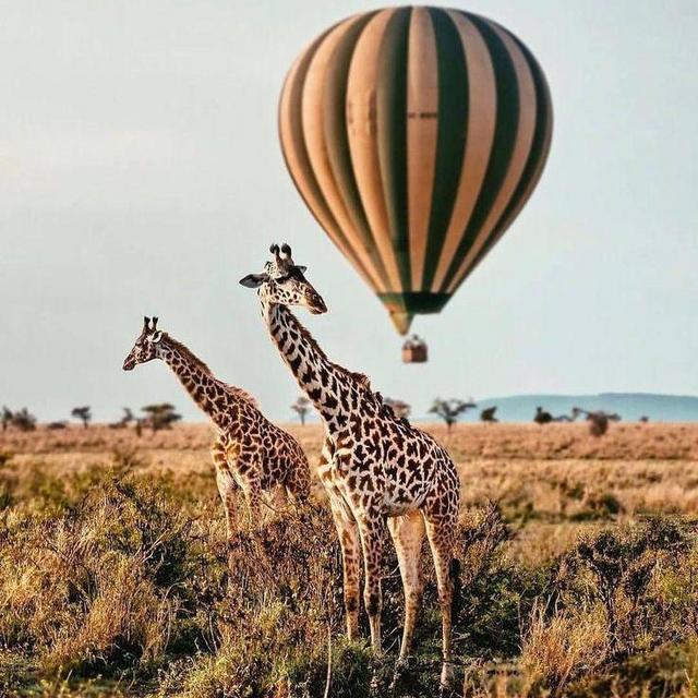 Hot Air Balloon in Africa
