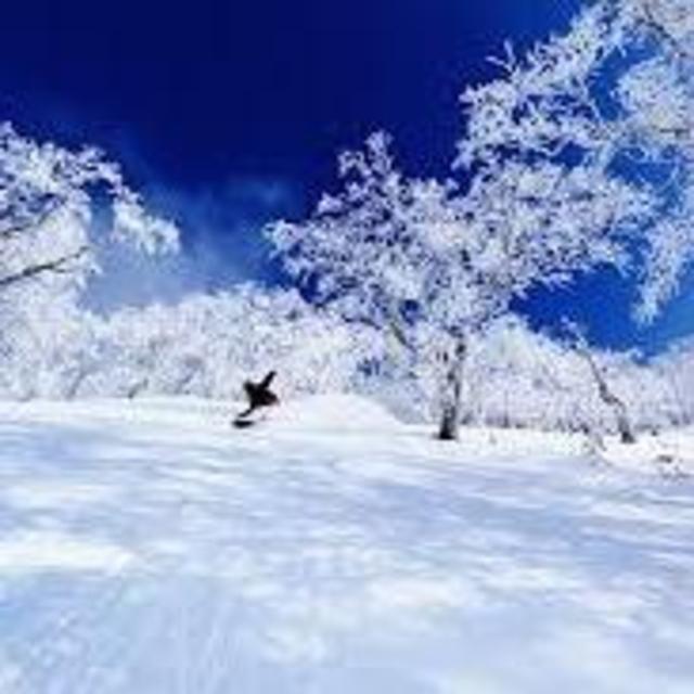 Lift Tickets and Rental gear