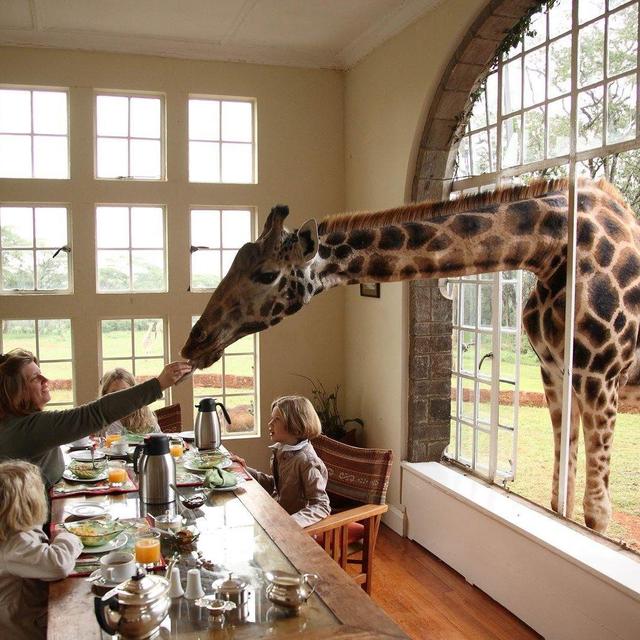 One night's stay Giraffe Manor Hotel Nairobi, Kenya