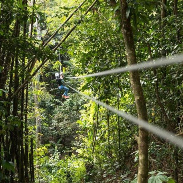 Honeymoon - Zipline Adventure for 2