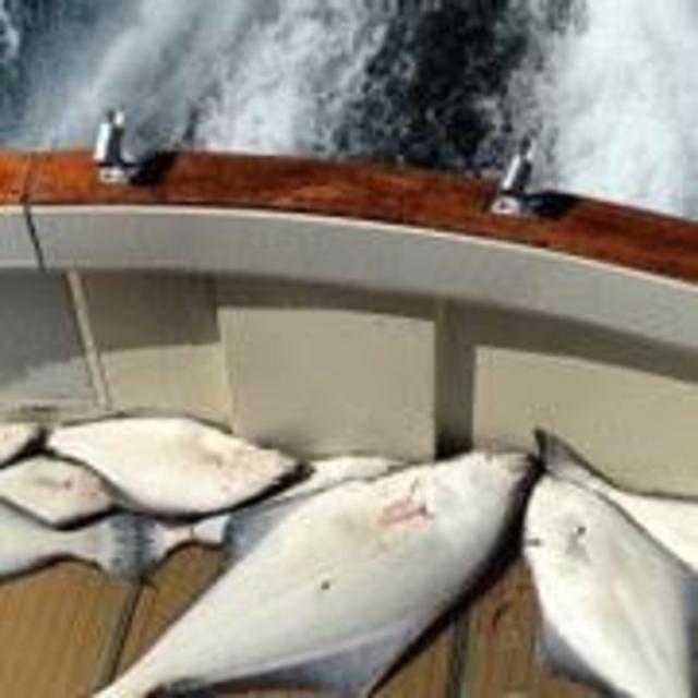 Honeymoon- Halibut & Salmon Fishing Charter