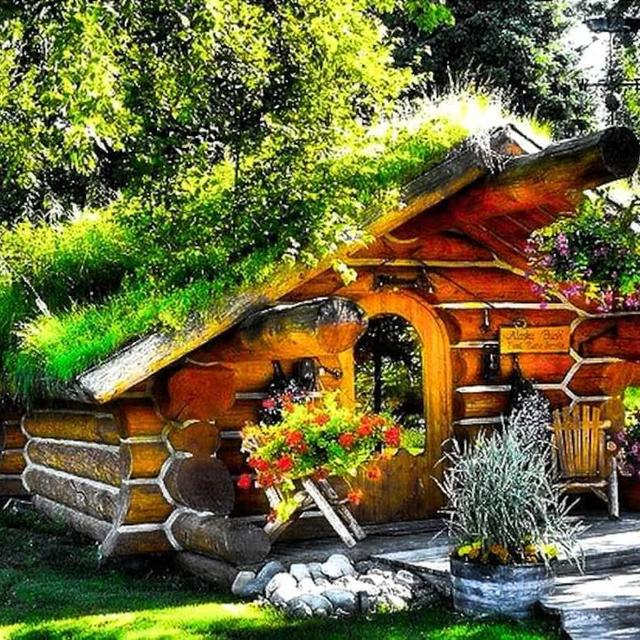 Honeymoon- Cabin Rental in Talkeetna