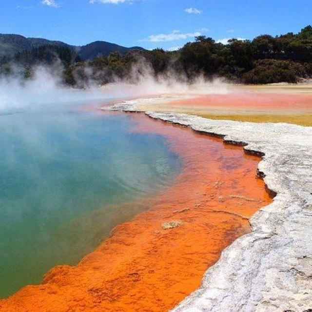 Visit to Wai-O-Tapu Thermal Wonderland