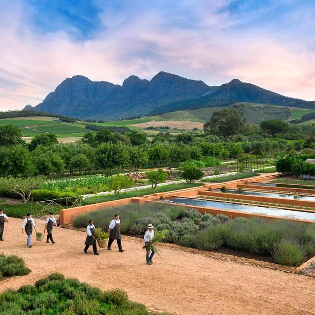 Farm & Gardens Excursion