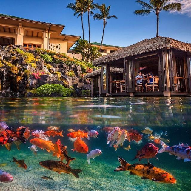 Fine dining at Tidepools