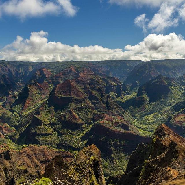 Waimea Canyon Bike Ride
