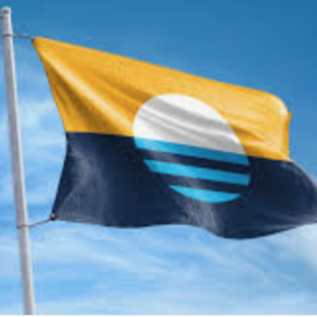 A-ONE 56" Tangle Free Aluminum Flagpole for Grommet or House - American US Flag Pole Kit with Anti-wrap Sleeve, Stainless Steel Rust Prevention Clip & Decorative Ball, Black