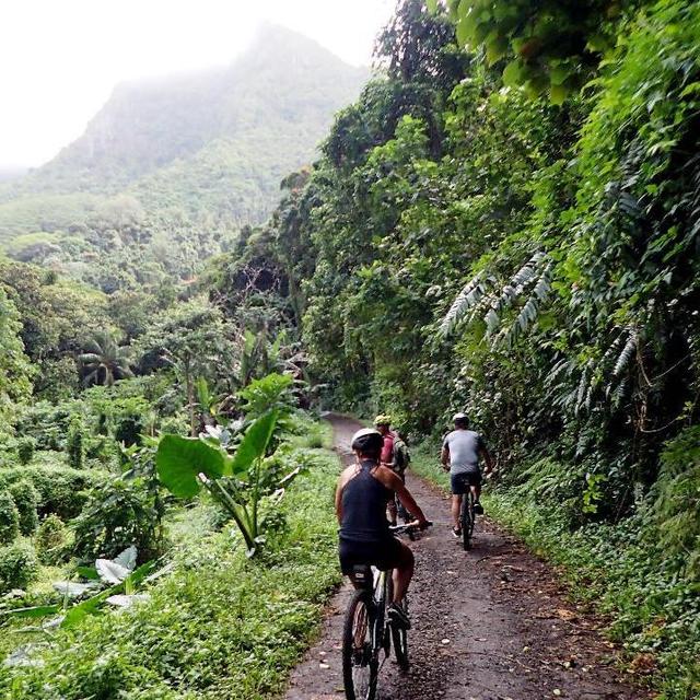 Rarotonga Cycling Tour
