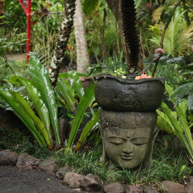 Maire Nui Gardens & Cafe