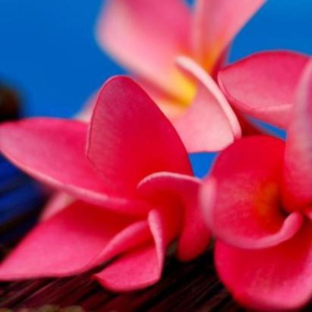 Moana Ora Body Wrap Spa Treatment