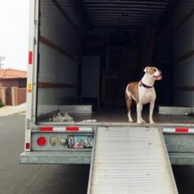 Moving Expenses