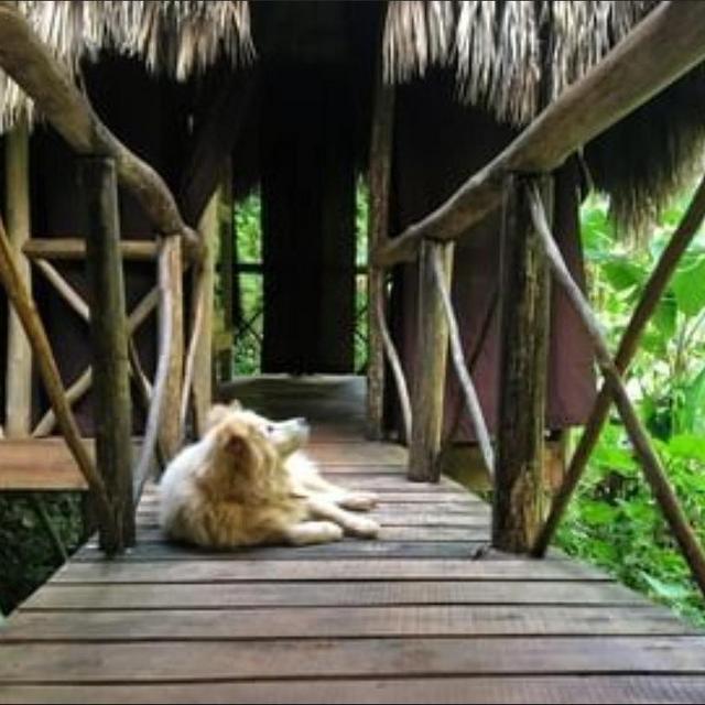 Future Honeymoon Lodging