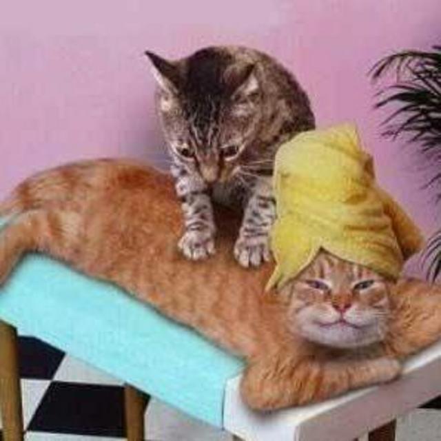 Couples Massage: 75 minutes