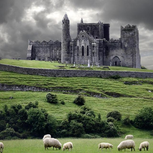 Visit the Rock of Cashel