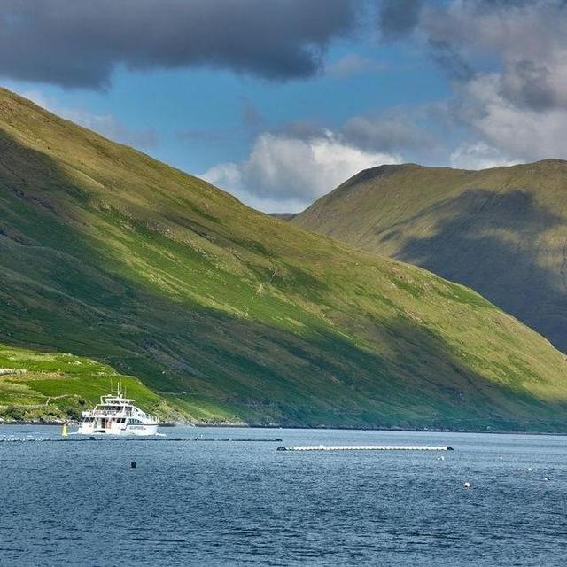 Killary Fjord Ferry Cruise